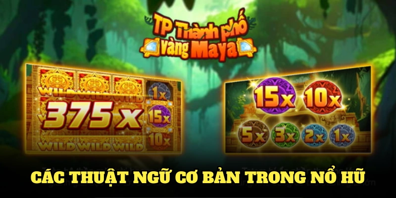 Nắm vững các thuật ngữ cơ bản trong nổ hũ