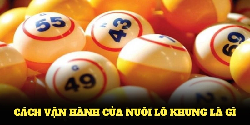 Khám phá bản chất và cách vận hành của nuôi lô khung là gì qua phần dưới đây