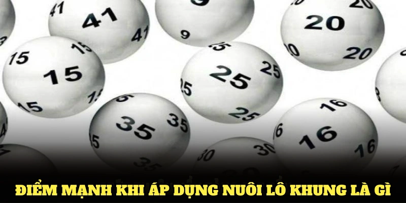 Những điểm mạnh khi áp dụng nuôi lô khung là gì cùng nền tảng Hi88
