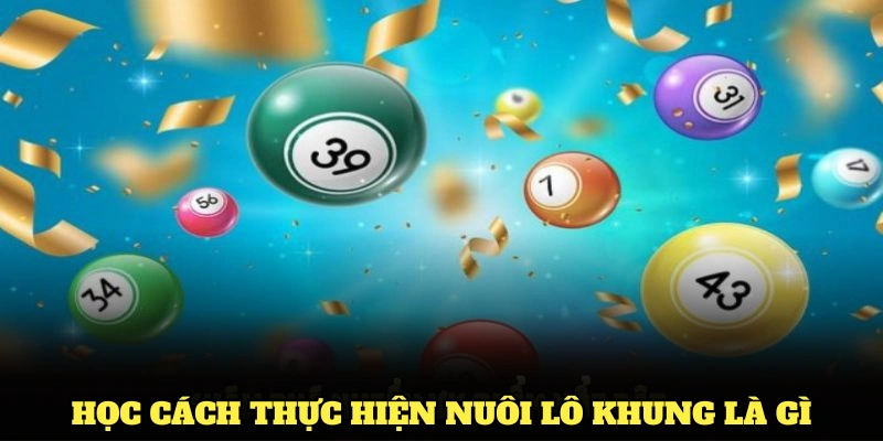 Học cách thực hiện nuôi lô khung là gì chuẩn xác để đạt kết quả tốt nhất