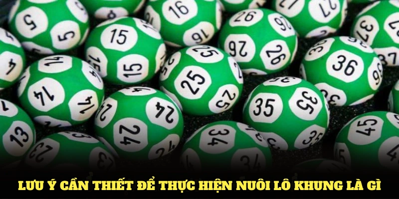 Lưu ý cần thiết để thực hiện nuôi lô khung là gì một cách hiệu quả